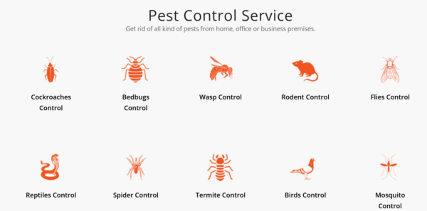 Pest Control